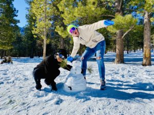 tour a la nieve